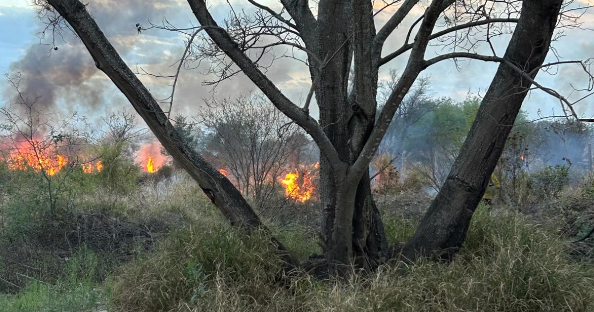 Alerta por un incendio de pastizales en La Bajada departamento Banda