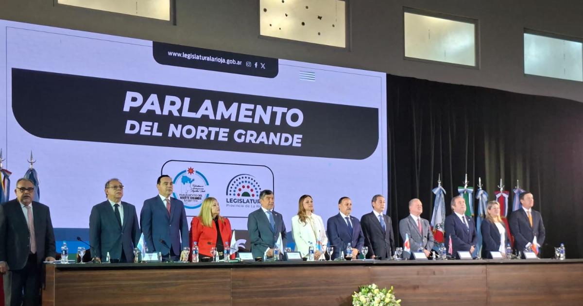 Silva Neder sobre el avance del Norte Grande- Si el Gobierno Nacional se retira la regioacuten se organiza y produce