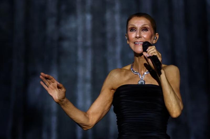 Celine Dion volvió al escenario