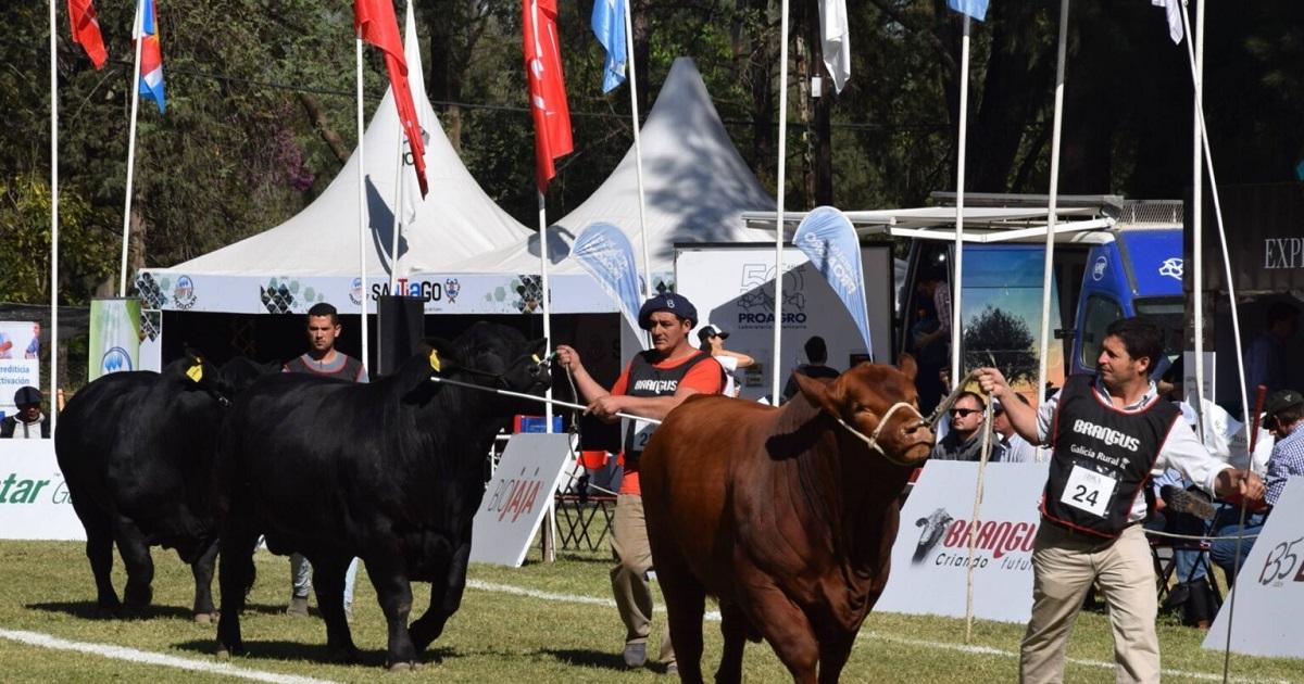Con el foco en la mejora geneacutetica y el avance ganadero en el norte se inicia hoy la ExpoBRA 2026