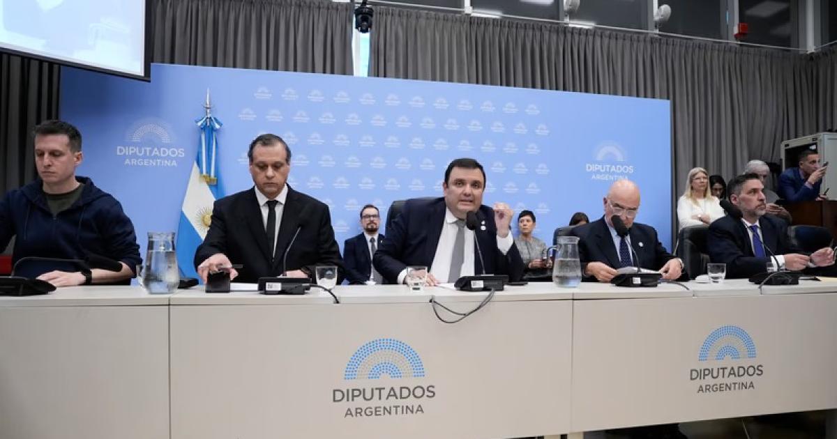 Diputados retoman el debate sobre la emergencia del sistema de discapacidad