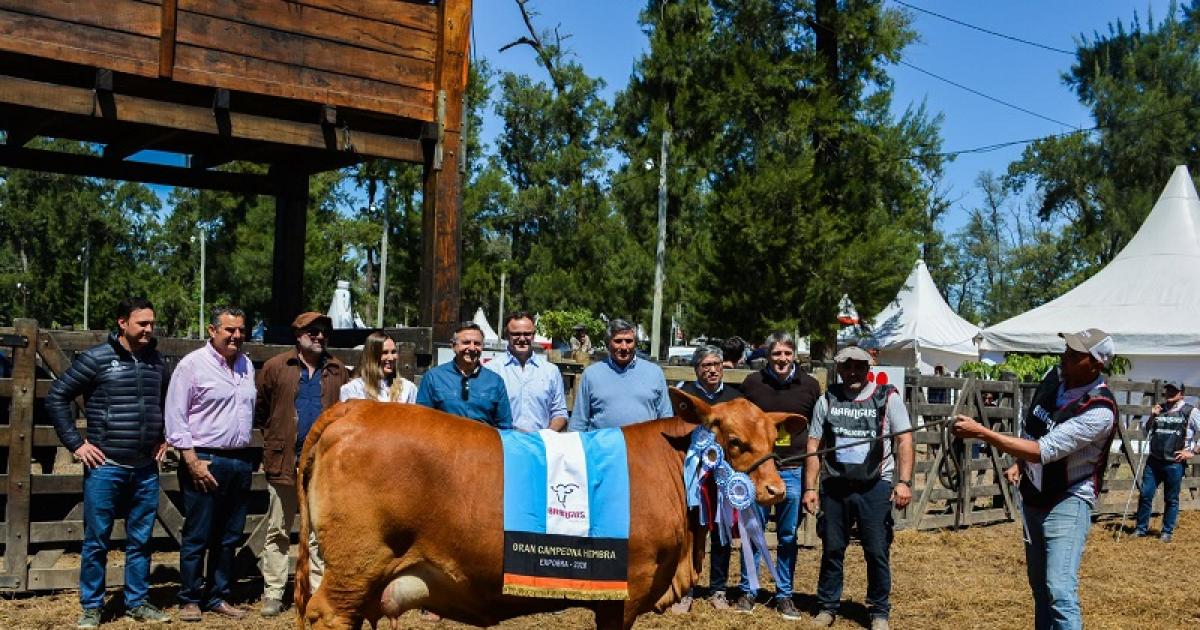 PRESENCIA El ministro de Producción IngMachado autoridades de Braford y productores en la entrega de premios
