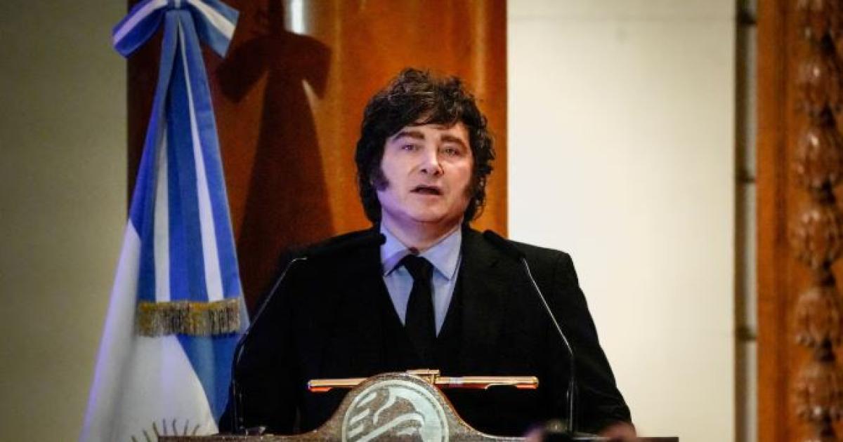 Milei habloacute sobre la emergencia en discapacidad y aseguroacute- Vamos a cumplir la ley