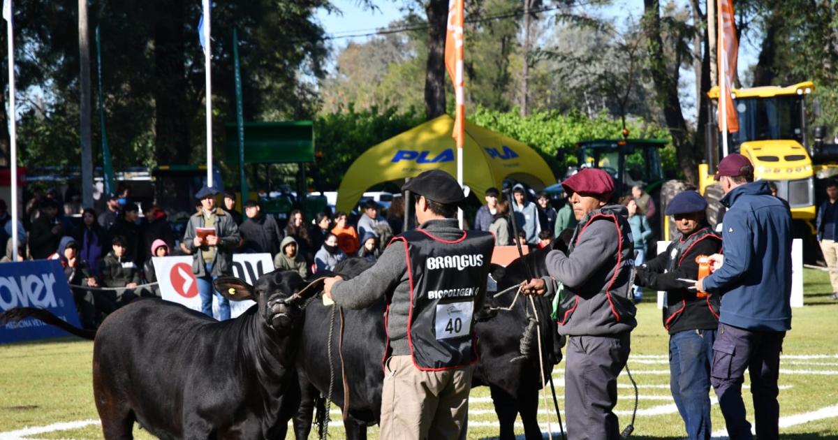 El gobernador Eliacuteas Suaacuterez inaugura hoy oficialmente la ExpoBra