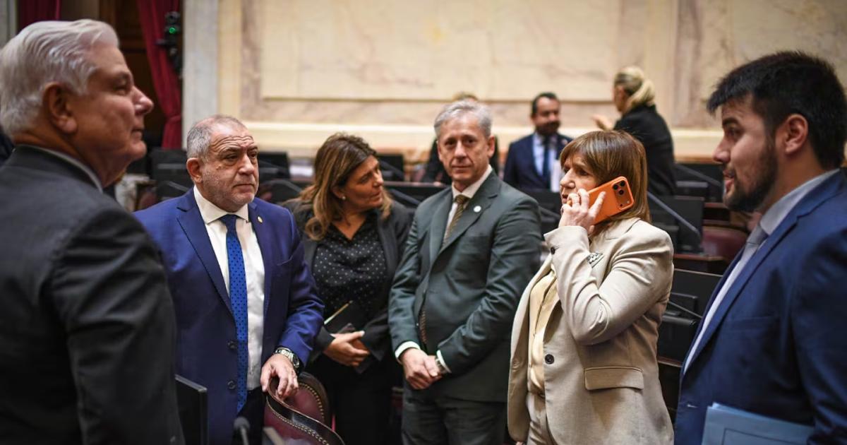 (Foto- Comunicación Senado - Charly Díaz Azcue)