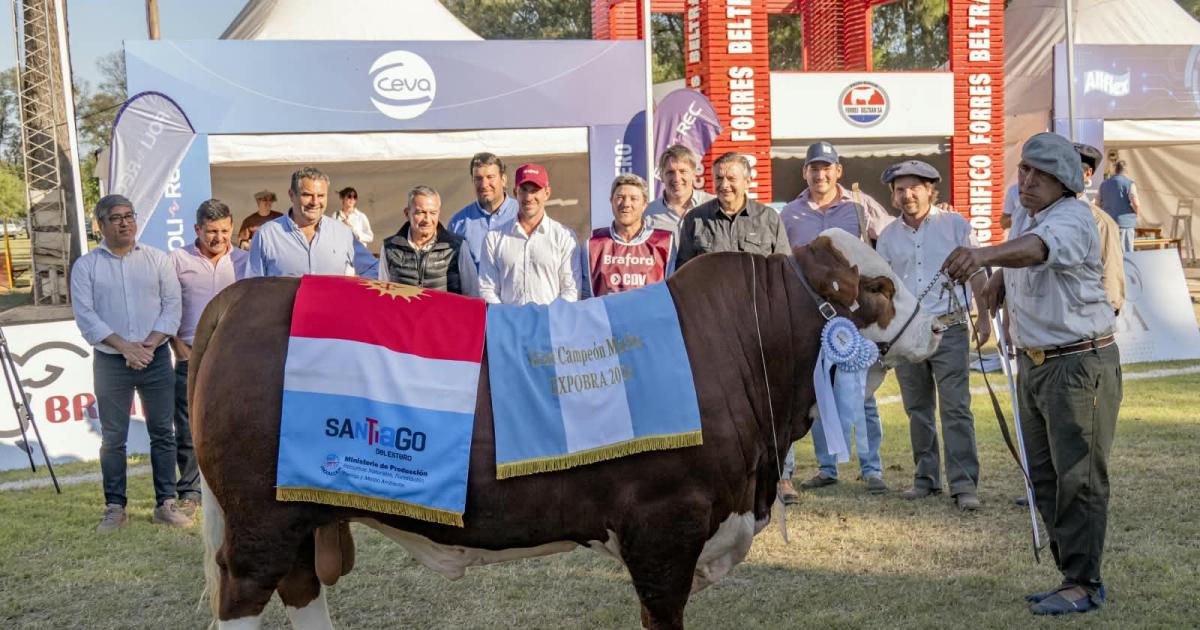 En ExpoBRA 2026 se consagraron los grandes campeones machos