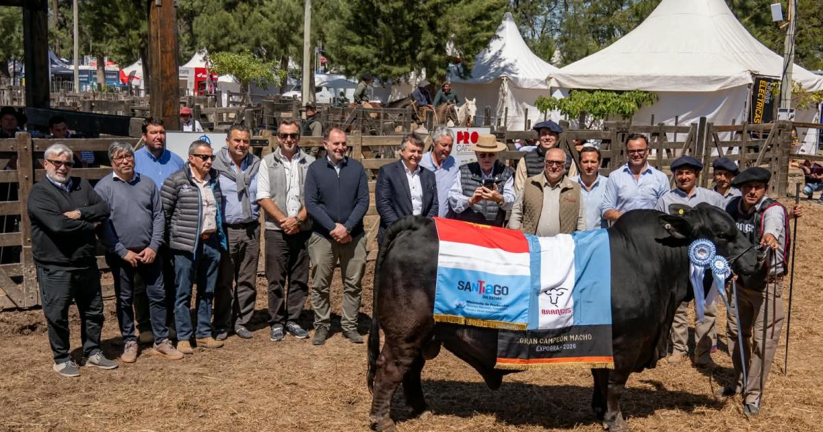En ExpoBRA 2026 se consagraron los grandes campeones machos