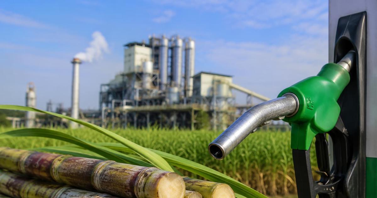 Reforma de la ley de biocombustibles- queacute cambia en el bioetanol y el biodieacutesel