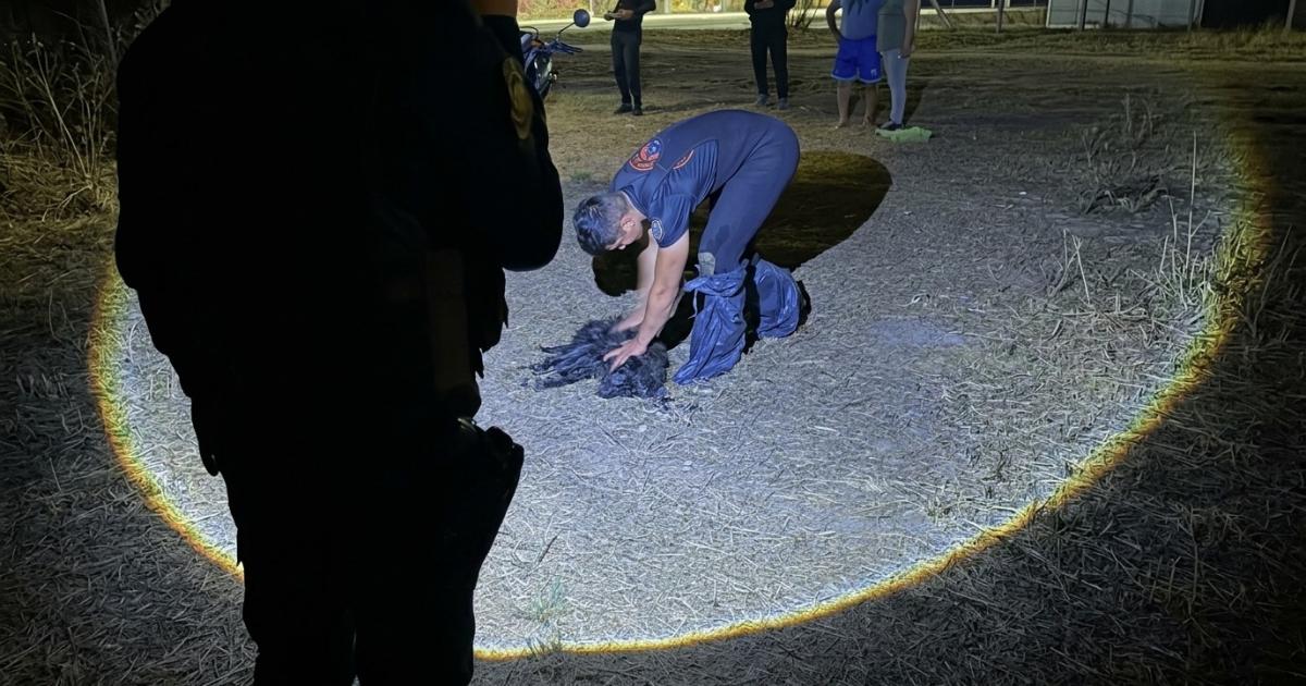 Rescataron a un perro que había quedado atrapado en un desagüe