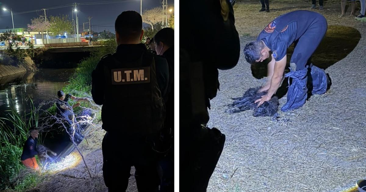 Los efectivos trabajaron en el lugar (Foto El Liberal)