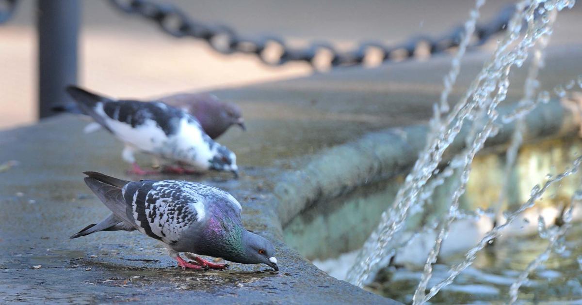 Jornada de mucho calor y humedad en la capital santiagueña