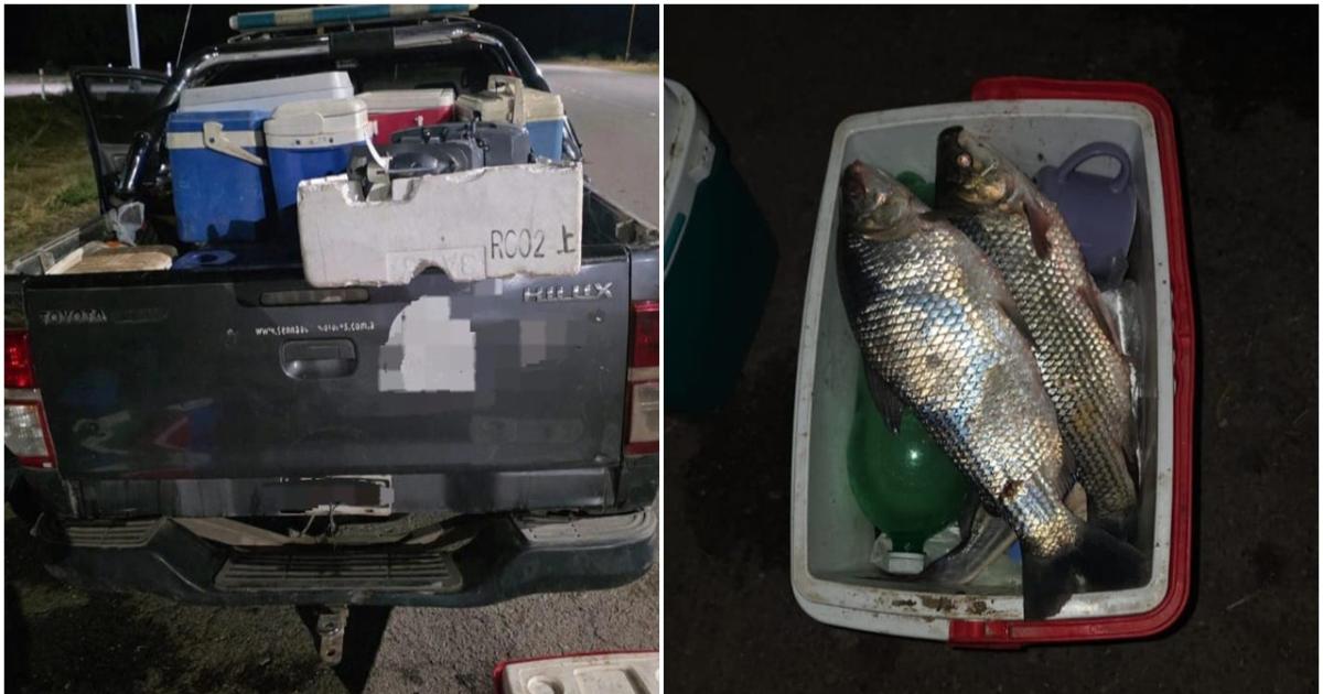 Infraccioacuten a la ley de pesca- incautan maacutes de 170 peces y secuestran equipos de pesca clandestina