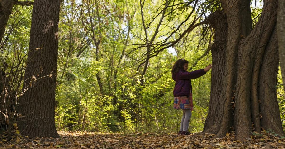 La Indoacutemita Luz que llevoacute a Friacuteas al cine