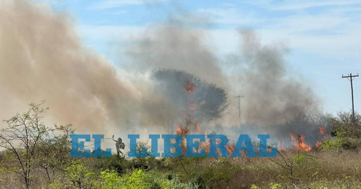 Tensioacuten en la Ruta 9- bomberos sofocaron un extenso incendio forestal y salvaron una vivienda