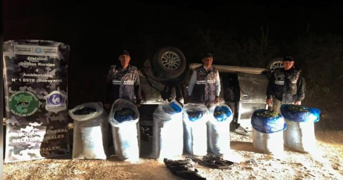 El hecho sucedió en Villa Padre Monti - incautaron 140 kilos de hojas de coca