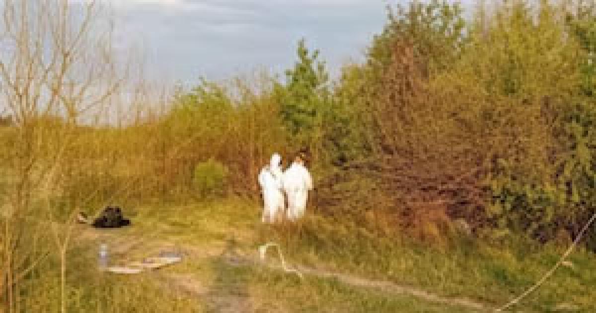 Hallaron un cuerpo calcinado dentro de un pozo y buscan determinar coacutemo murioacute