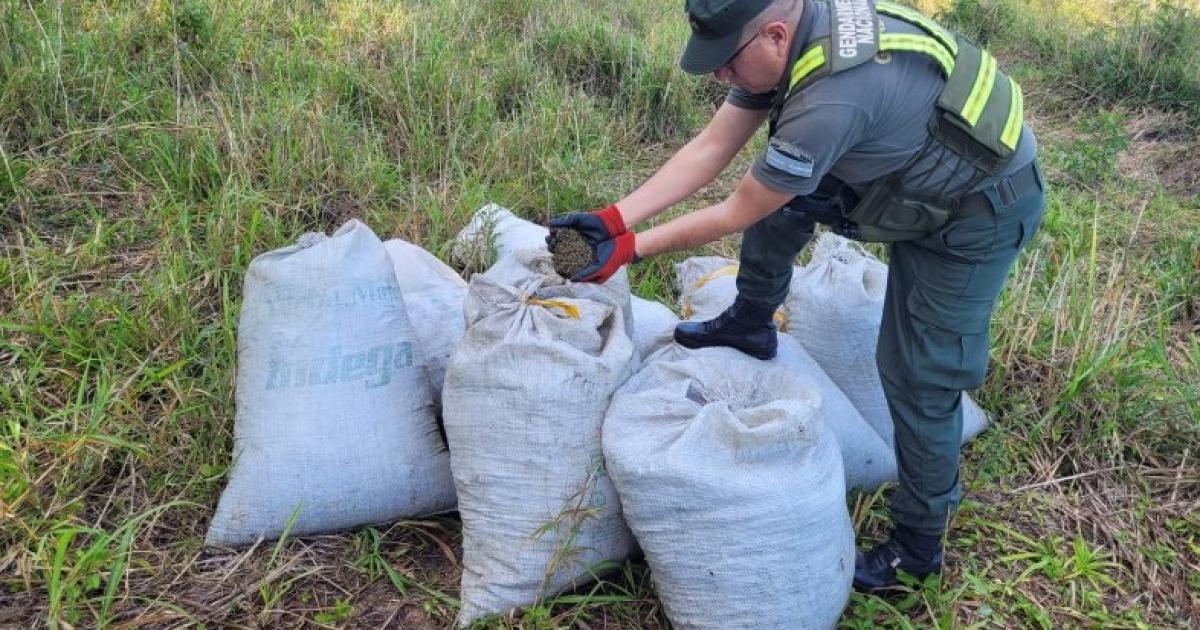 Foto- Gendarmería Nacional Argentina (GNA)