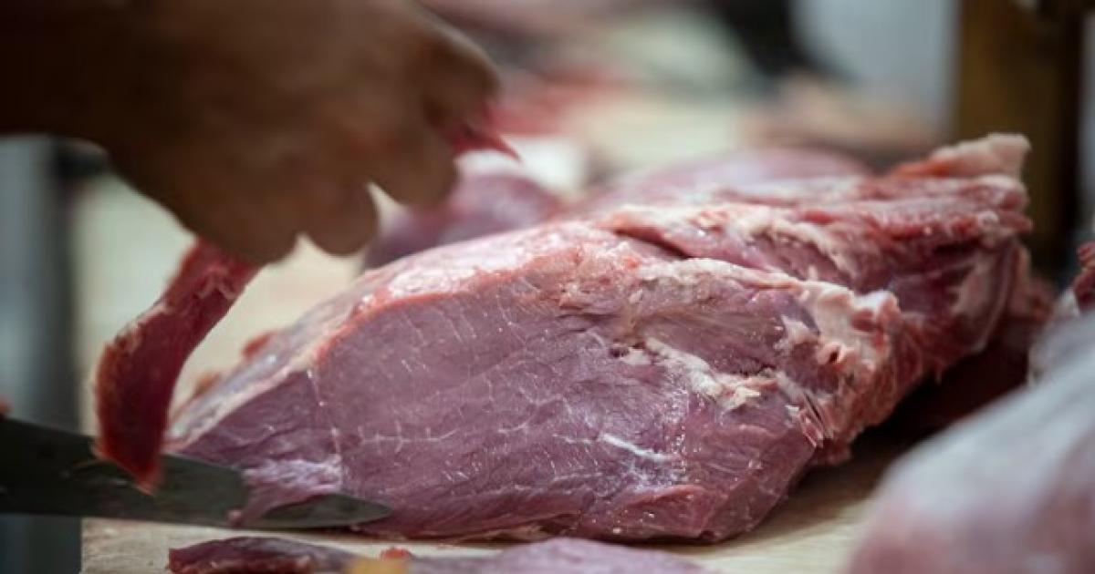Exportacioacuten histoacuterica- Argentina volveraacute a enviar carne vacuna a Japoacuten despueacutes de 20 antildeos