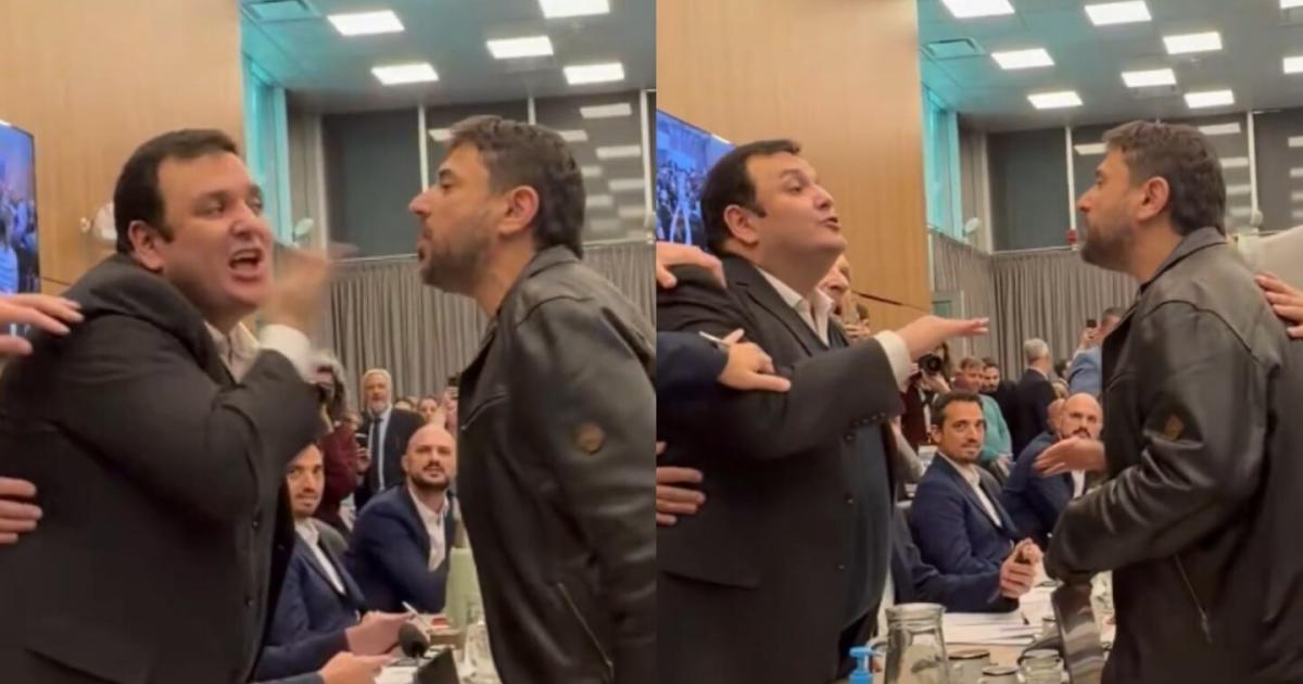 Insultos y forcejeos en Diputados durante el debate del proyecto que amplía las sanciones por explotación de recursos en Malvinas (Foto- Captura X  @andreafvera_)