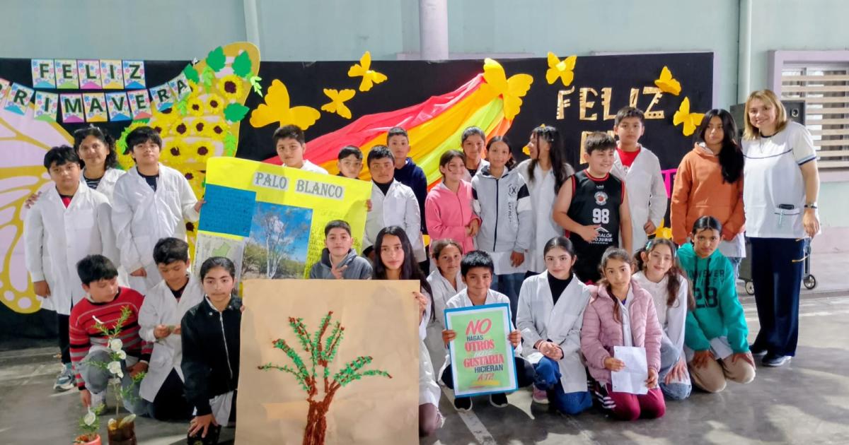 Los alumnos la voz de los aacuterboles y liacutederes en la lucha contra el bullying