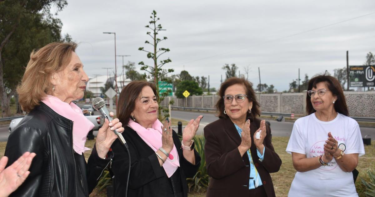 Inicio del Octubre Rosa- habraacute actividades para concientizar sobre el caacutencer de mama