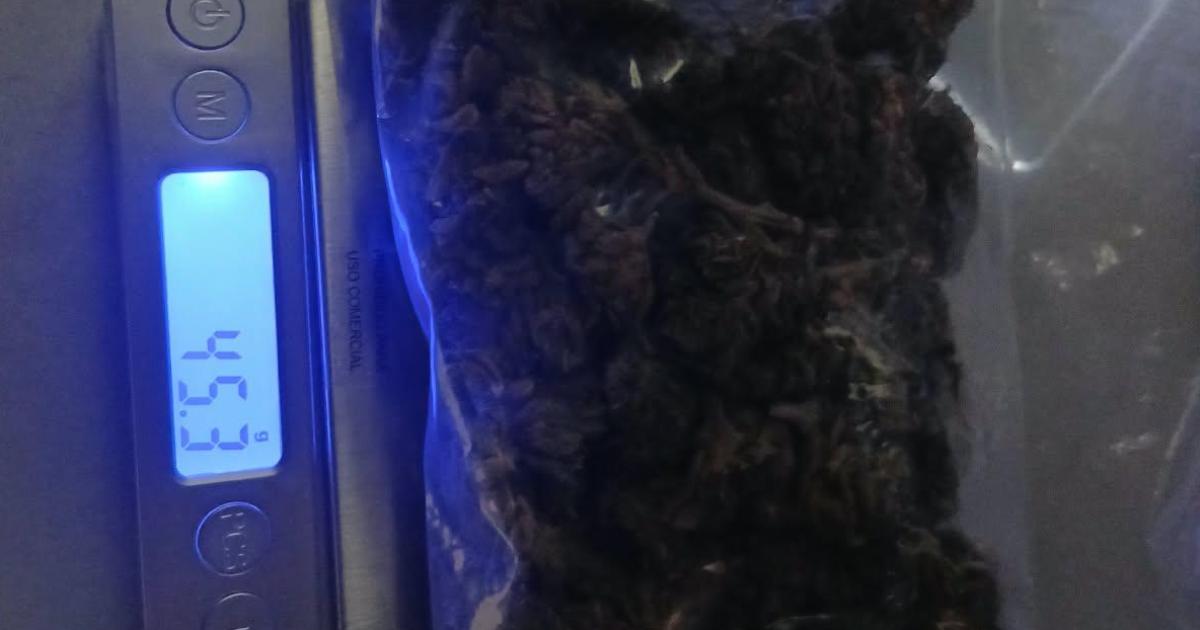 Por robar una sentildeal de traacutensito cae un dealer con marihuana