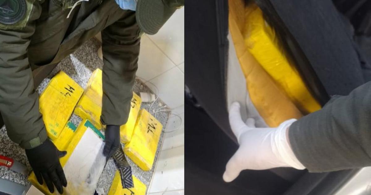 Llevaban droga escondida en las butacas del auto pero los delatoacute un perro de Gendarmeriacutea