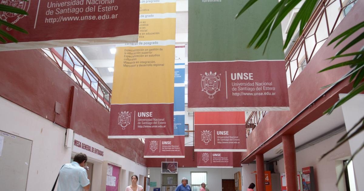 Presentan una diplomatura virtual en Neuroeducacioacuten