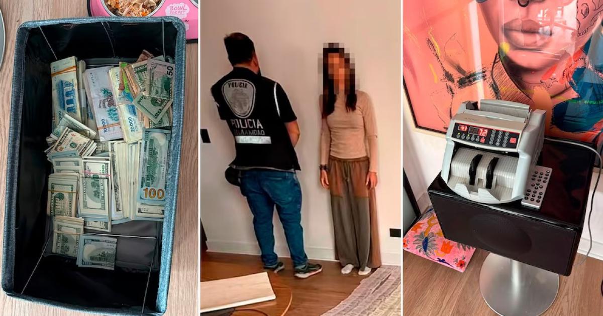 En el allanamiento al departamento de tres ambientes de Vicente López se secuestraron casi 10 millones 56 mil dólares y una m�quina para contar dinero