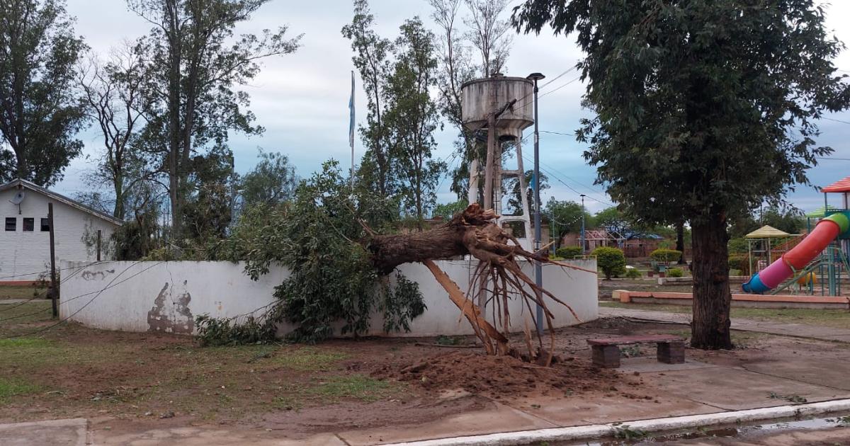 FOTOS Fuerte temporal castigoacute a Taco Ralo en el liacutemite con Santiago del Estero