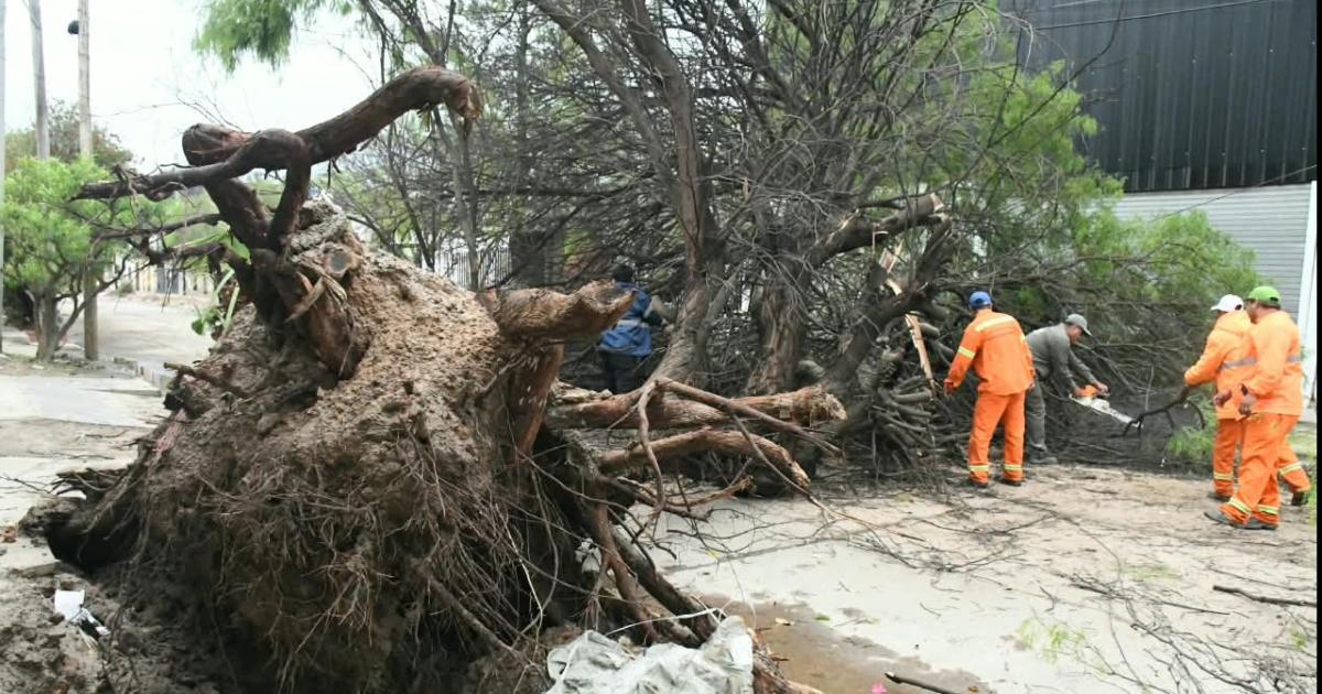 Tras la tormenta la Municipalidad realiza un fuerte operativo para liberar las calles