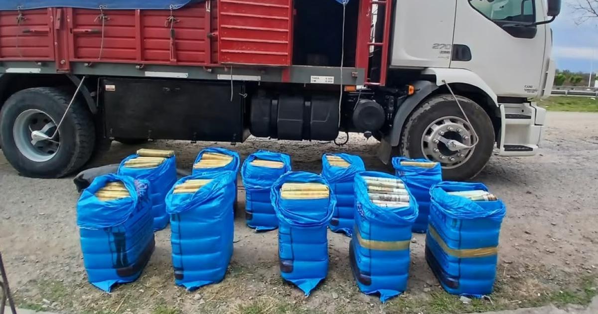 Gendarmes hallan 248 kg de hojas de coca en camión que decía no llevar carga Foto-Los Primeros