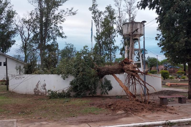 FOTOS  Fuerte temporal castigoacute a Taco Ralo en el liacutemite con Santiago del Estero