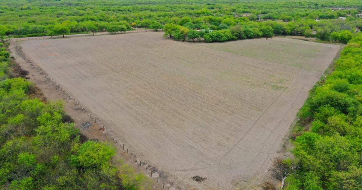 Las ADT incorporan tecnologiacutea de nivelacioacuten laacuteser para mejorar la produccioacuten santiaguentildea