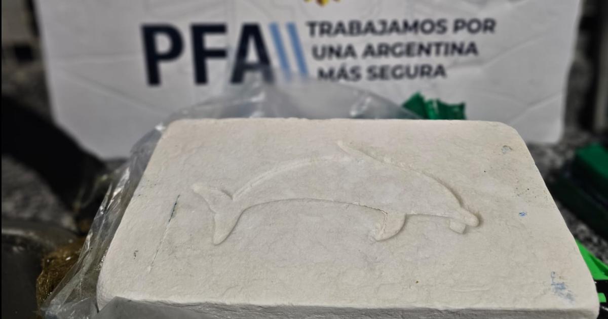 La droga tenía el sello de un delfin en bajorelieve (Foto El Liberal)