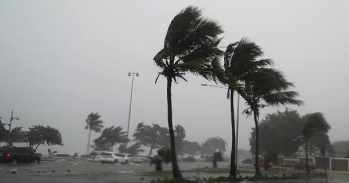 Tragedia en Estados Unidos- el huracaacuten Isaiacuteas dejoacute al menos cuatro muertos y masivos destrozos en Florida