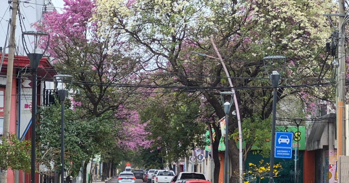 iquestLloveraacute este domingo en Santiago del Estero- esto anticipa el pronoacutestico