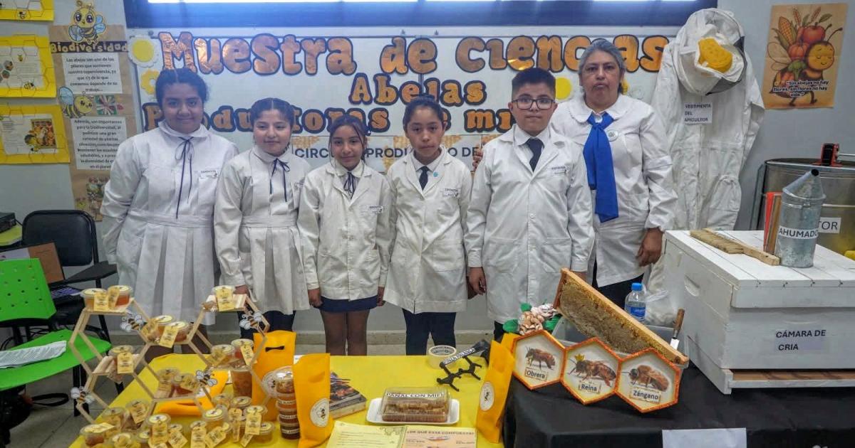 Todo listo para la 3ordf Feria de Ciencias Tecnologiacutea y Artes