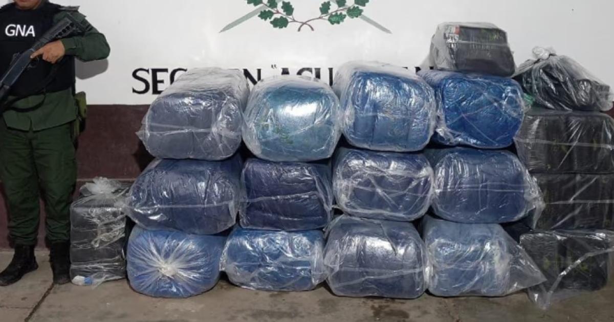 Los gendarmes detectaron hojas de coca con un peso de 340 kilos