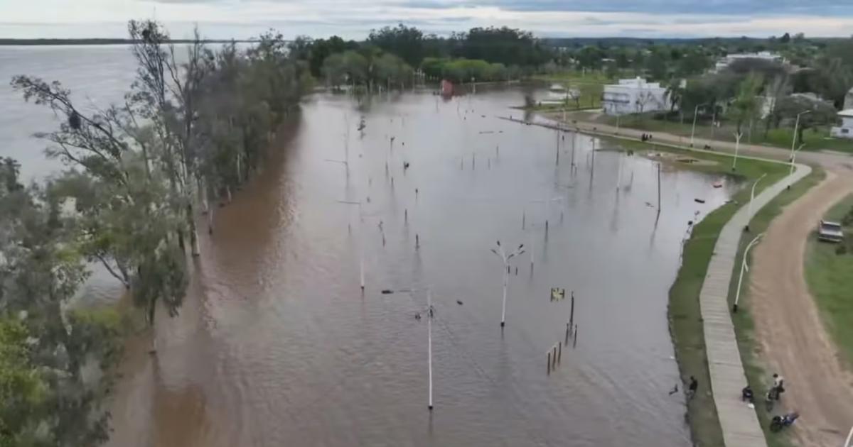 El Niño- hasta cu�ndo podría durar en la Argentina y cu�les serían las regiones m�s afectadas (Foto- TN)