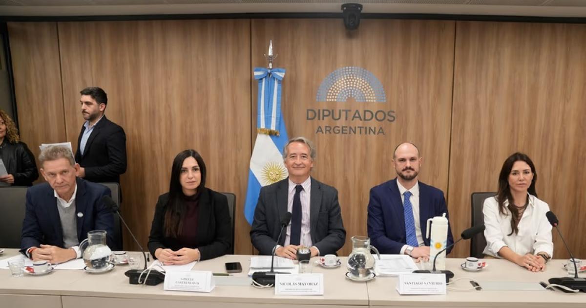El oficialismo repuso los liacutemites para la extranjerizacioacuten de tierras