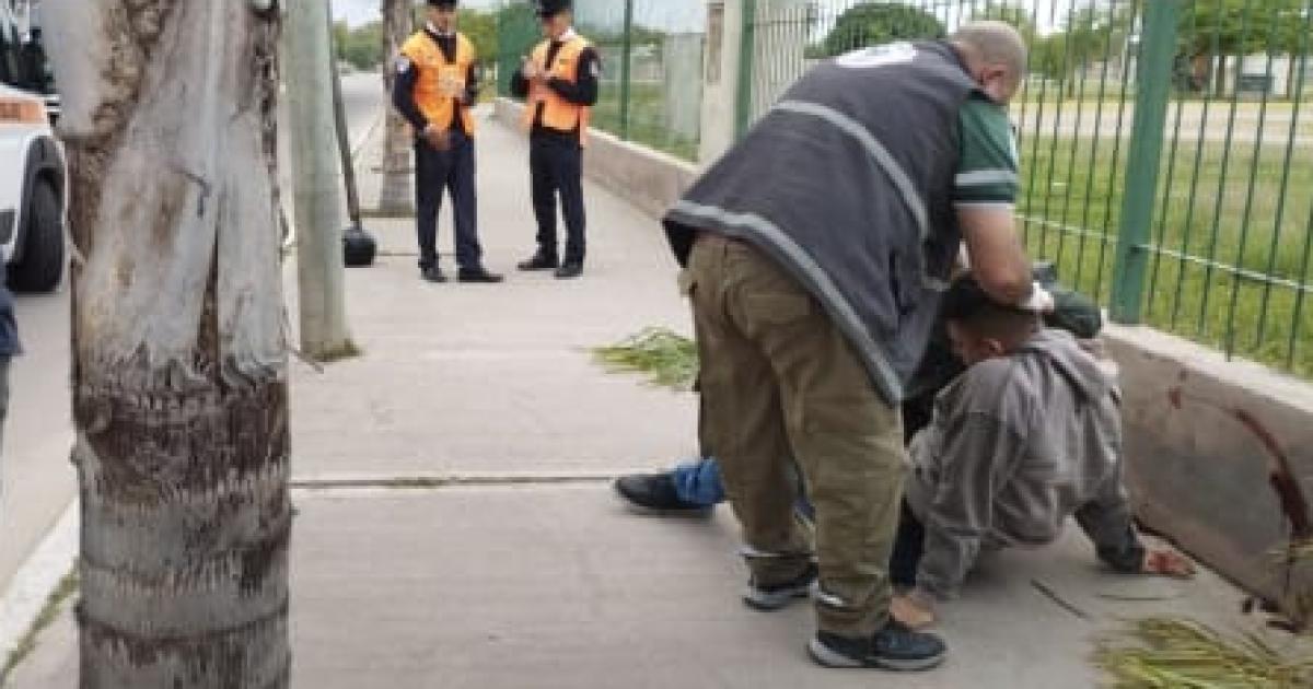 Un oficial de policiacutea alcoholizado se estrelloacute contra una palmera