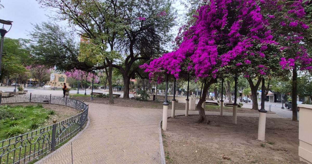 Domingo nublado en Santiago- coacutemo estaraacute el tiempo durante el Diacutea de la Madre