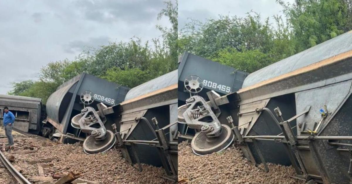 Descarriloacute un tren de cargas en El Charco- siete vagones volcaron al costado de las viacuteas