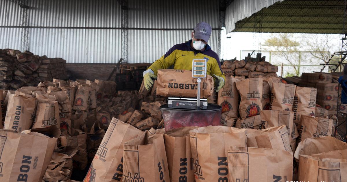 Monte Quemado- una nueva generacioacuten de productores forestales apuesta al empleo y al cuidado del bosque nativo