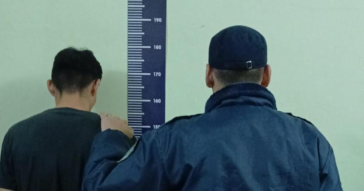 Sorprendieron a un joven mientras faenaba un cerdo en un establecimiento rural