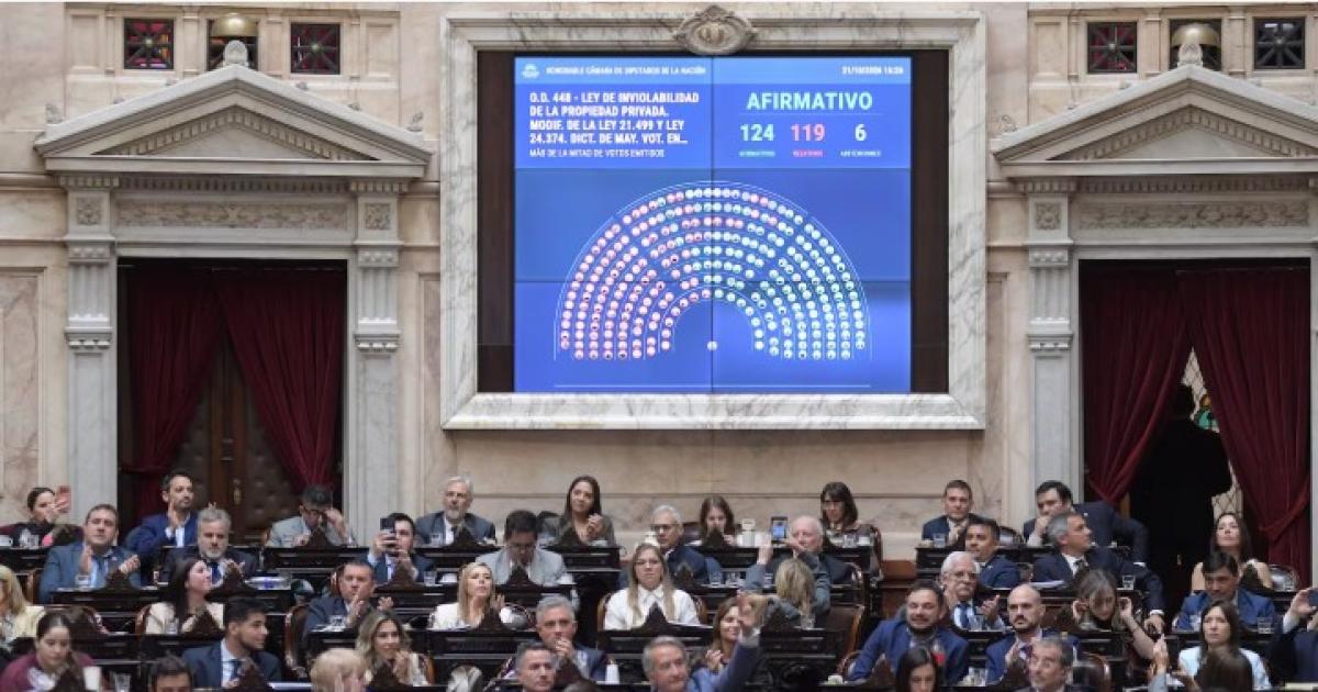 (Foto- X @DiputadosAR)