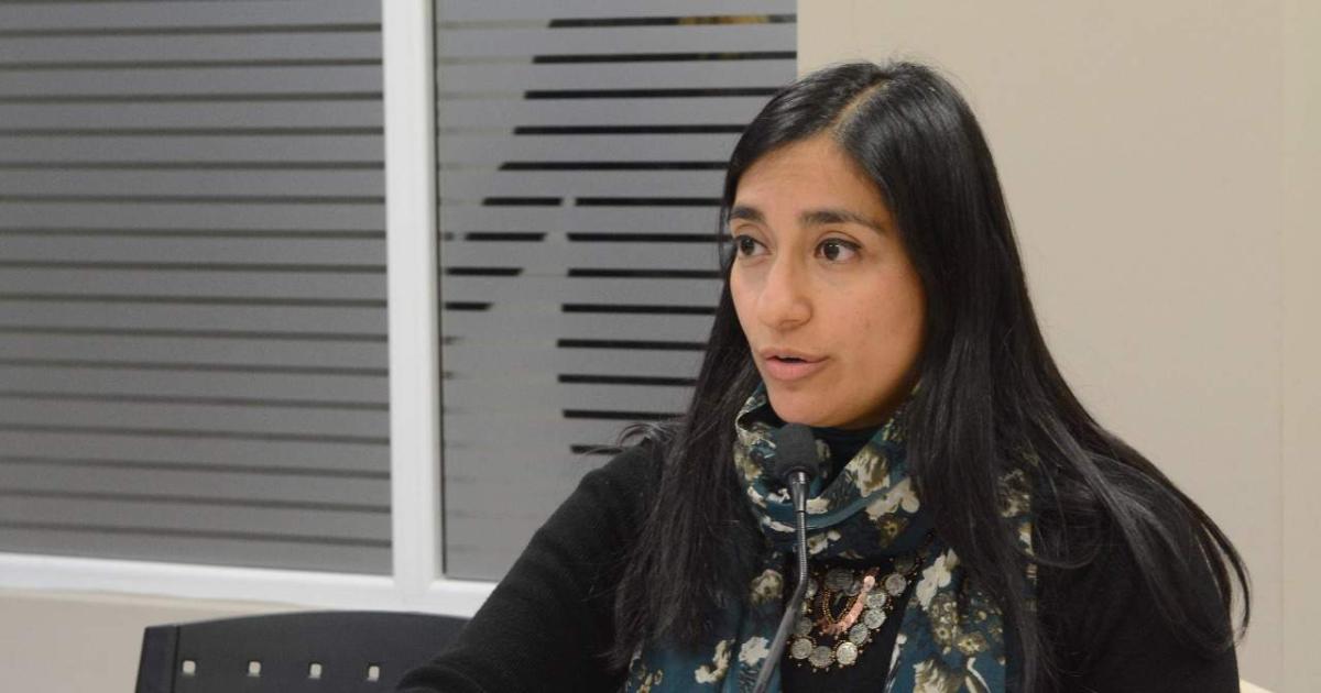 INSTRUCCIÓN A cargo de la fiscal Cecilia Gómez Castañeda
