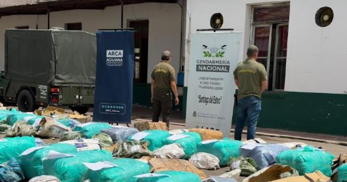 Secuestran 657 kilos de hojas de coca valuados en maacutes de 72 millones