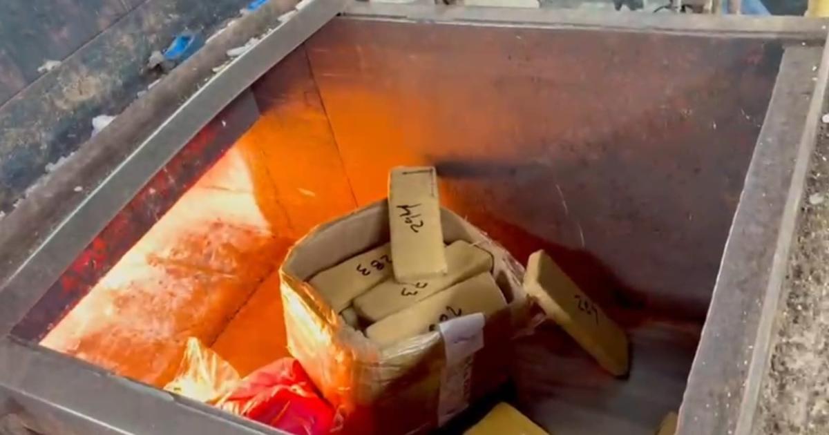 Incineraron 230 kilos de droga incautada en 19 operativos en Santiago